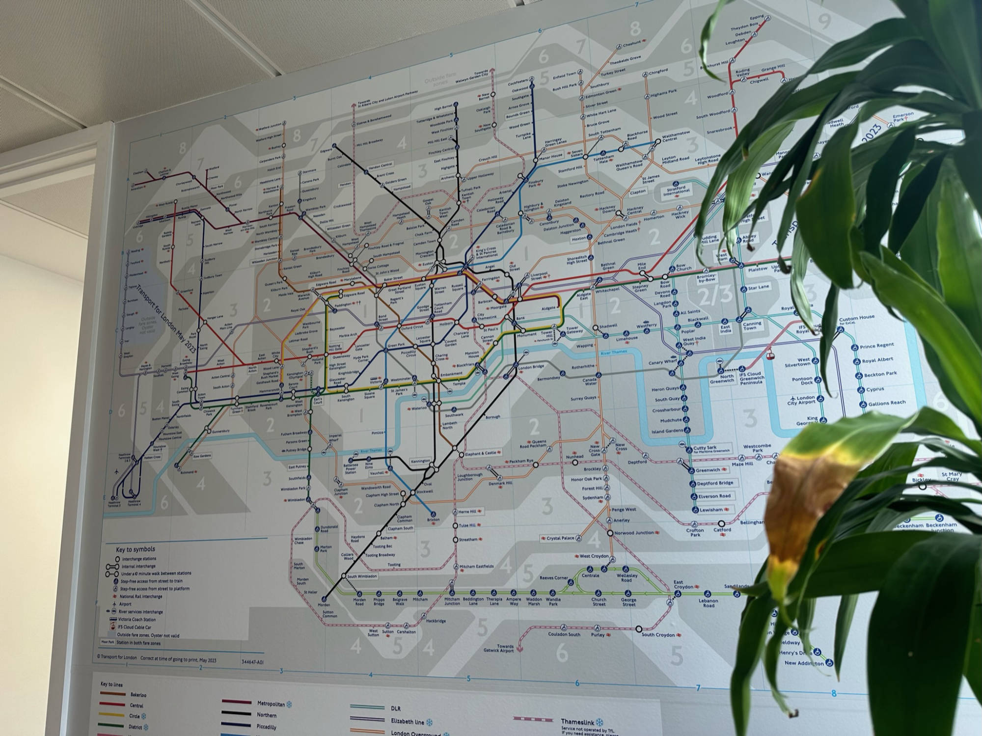 interior wall map graphics