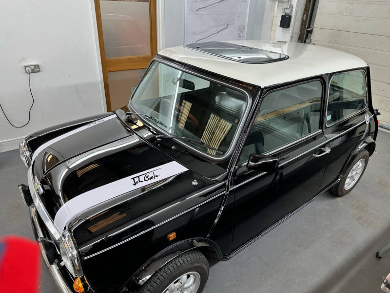 classic mini vinyl stripe